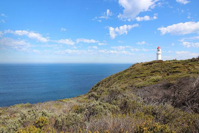 White Cape Schanck lighthouse on a green headland above blue sea on the Mornington Peninsula